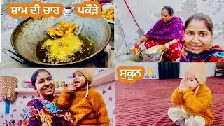 Evening Tea Nal Pakode ☕ | ਭਾਣਜੇ ਦੇ ਨਾਲ Gurudwara Sahib 🙏 | Punjabi Family Vlog | #kaurneena 