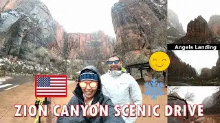 UTAH VLOG 🇺🇸 WHAT TO SEE IN ZION CANYON SCENIC DRIVE + DRIVING AROUND ZION NATIONAL PARK @indaynamo