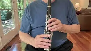 DEMO VIDEO Buffet Crampon R13 Bb Clarinet #186814