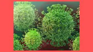 Symtoms of corona virus