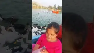 Visiting the beautiful duck farm in Behbahan County