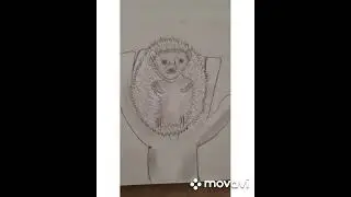 My first hedgohog!(Ёж) #art#shorts#beautiful#animals#hedgehog#pretty#funny#ежики