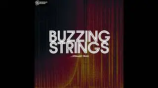 Arazzy Buzz - Buzzing Strings 3