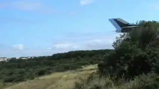 sadiedog chasing jets
