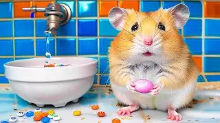Hamster Escapes the Sahur Monster in the Chaotic Italian Brainrot Maze | Hamster Maze