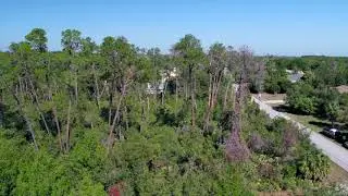 7302 River Country Dr, Weeki Wachee, FL 34607