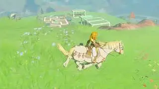 TOTK: Link's Grand Opening Community Pool   #totkbestbuilds #zeldabestbuilds