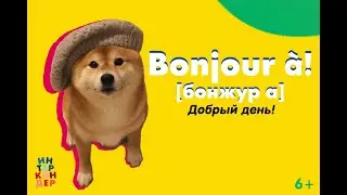 Фестиваль 