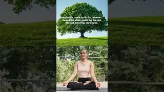 Everything is connected in this universe.. #spirituality #universe #yogalife