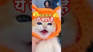 Billi Ki Awaaz Kaisi Hoti Hai? 🐱बिल्ली वाला कार्टून😱 #cat #catshorts #catsounds