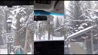 @thatdenverguy