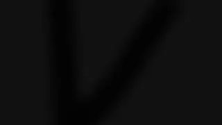 Animajor Live Stream