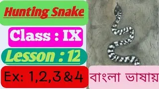 Hunting Snake Poem Class 9 | Full Analysis of Question & Answers in Bengali Explanation | WBBSE
