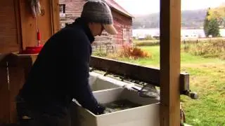 Produce Packshed Design for Safety & Efficiency: Flywheel Farm