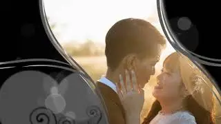 Elegant Wedding Stylepack - 1st Anniversary