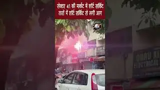 सेक्टर 41 की मार्केट में शॉर्ट सर्किट #Sector41 #shortcircuit #chandigarh #tricitynews #electricity