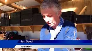 Volunteers extend Queenstown native plant nursery