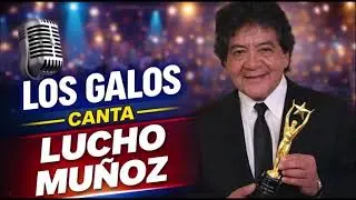 Los Galos   Quiz&aacute;s vuelvas un d&iacute;a