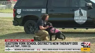 Eastern York School District's new therapy dog