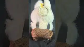 LABUBU OOTD Day 11 | POPMART Plush Blind Box Labubu The Monsters Fashion Show - Louis Vuitton