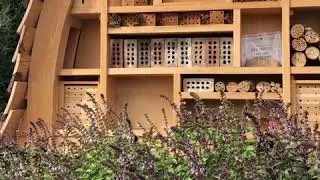#BeeWise Challenge Day 1: Pollinator Action at the JC Raulston Arboretum Bee Hotel, Video One