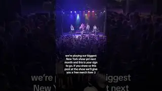 New York #shorts #band #indie #indieband #newmusic #concert #musician #newyork #brooklyn
