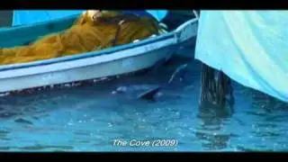 Dolphin Show = Dolphin Kill?  An Investigation of The Cove Part 1