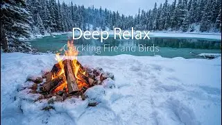 Deep Relax by a Crackling Fire | Winter Forest Lake Ambience with Birds | 4K