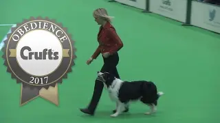 Obedience Championship - Dogs - Part 1 | Crufts 2017