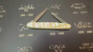 Case rarely seen