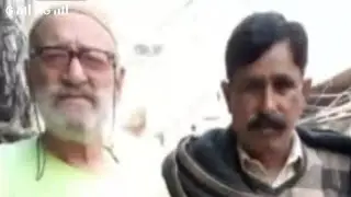 khuwaja mujeeb blod pigeons my tedy bareed pigeons