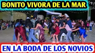 Trio cariño Hidalguense tocando la vivora de la mar para los novios 
