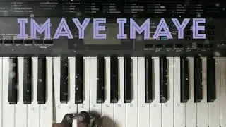 Imaye Imaye Piano Tutorial | Mad's Key