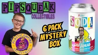 Funko Soda 6 Pack Mystery Box from Plastic Empire!