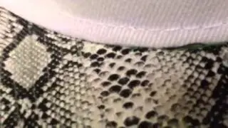 Hiphopvp Pickup/review