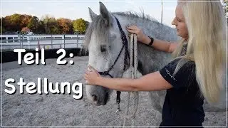 Natural Horsemanship: gymnastizierende  Arbeit vom Boden
