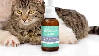 Fur Baby Pet Support - Flower Essence Remedy