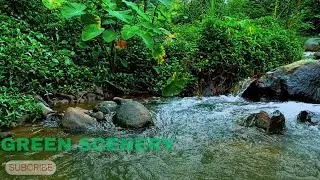 Relax and Breathe with Flowing River  | Mind Cleanse & Positive Energy