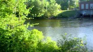 Another easy access great fishing spot in Southern Maine - TROUT!