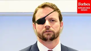 &lsquo;It&rsquo;s Been Debunked!&rsquo;: Dan Crenshaw Slams Climate Activists Emissions Message