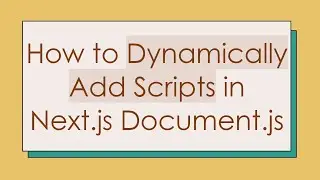 How to Dynamically Add Scripts in Next.js Document.js