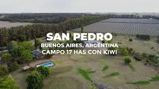 Venta de campo 17 hectáreas con producción de Kiwi en San Pedro, Buenos Aires