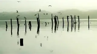 Prelude No. 3 - Joshua Creek