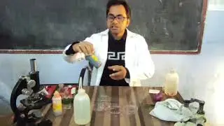 प्याज की झिल्ली की slide बनाना/onion membrane slide