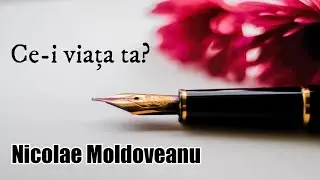Nicolae Moldoveanu - Ce-i viața ta? E o peniță..