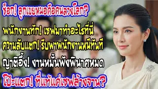 วันสู่ขอโกลาหล! พนักงานทักลูกเขยแพทย์ 