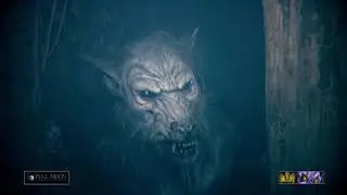 Chiefs at the Beast