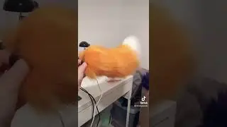 Making a fox tail #furry #fursuit #furryfandom #fursuitmaker