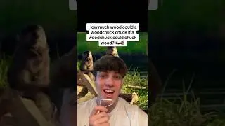 How much wood could a woodchuck chuck if a woodchuck could chuck wood? 🦫🪵