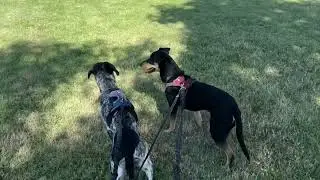 Tee-Train! @ Thousand Trails Turtle Beach Manteca, CA